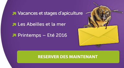  Stage d'apiculture 